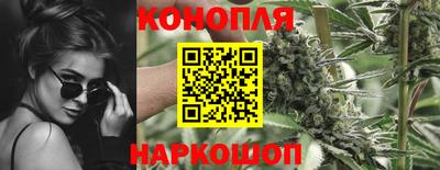 амф Заволжье