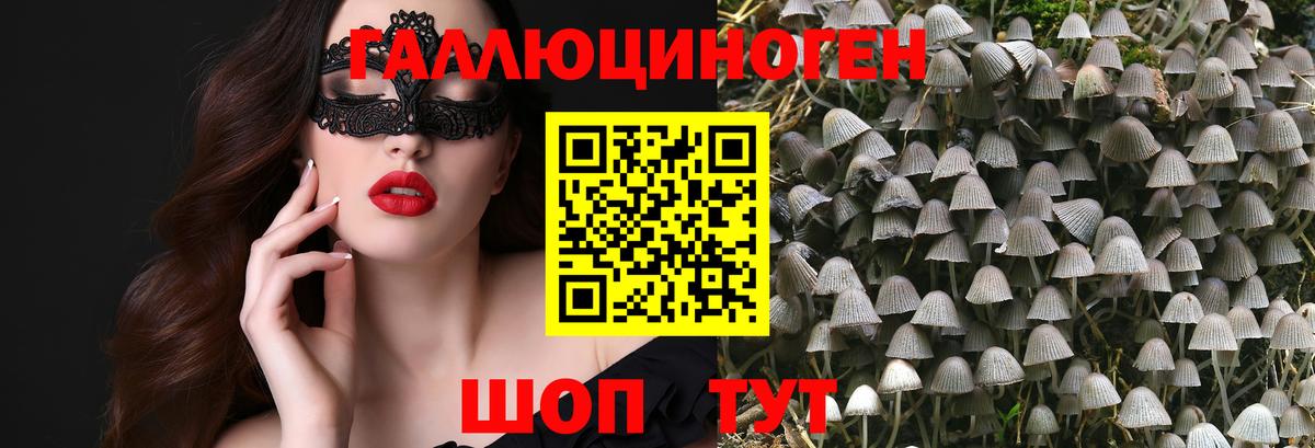 Бошки Шишки Конаково